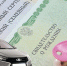 Депутаты хотят разрешить покупать автомобили за средства маткапитала - Плюс Информ