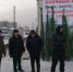 Новые вредители и возбудители болезней хвойных лесов России - Рослесозащита ЦЗЛ Республики Тыва