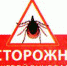 Зафиксирован первый в этом году случай присасывания клеща в Монгун-Тайгинском кожууне - Министерство здравоохранения