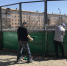 Активисты ОНФ в Туве покрасили хоккейную коробку в рамках всероссийско... - ОНФ в Туве