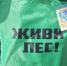 Республиканский слёт членов школьных лесничеств «Лес и Человек», посвященный Году добровольца (волонтера) в России - Министерство образования