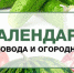 Лунный календарь Сибири для посадок семян, рассады и растений на апрель 2019 года - Плюс Информ