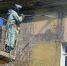 __________thumb_main - Sibnovosti.ru