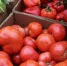 ____thumb_main - Sibnovosti.ru
