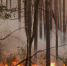 ____thumb_main - Sibnovosti.ru