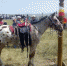 _______thumb_main - Sibnovosti.ru