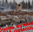 Тоджинцы призывают земляков помочь семье, у которой в новогоднюю ночь погибли родные и сгорел дом - ИА Тува-Онлайн