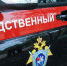 В Туве предотвратили заказное убийство 8-летней девочки электрошокером - FlashSiberia