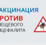 В Туве за неделю 36 человек пожаловались на укусы клещей - ИА Тува-Онлайн