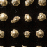 _______thumb_main - Sibnovosti.ru