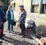 В Туве перекупщиков угля начнут штрафовать за несоблюдение установленных цен - ИА Тува-Онлайн