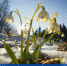 В Туве прогнозируется усиление ветра до 22 м/с - ИА Тува-Онлайн