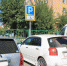 Мэрия Кызыла объяснила вырубку деревьев в центре города - ИА Тува-Онлайн