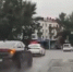 Свадебные кортежи в Туве привилегиями на дорогах не обладают - ИА Тува-Онлайн