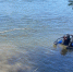 Купание в нетрезвом виде – основная причина гибели людей на воде в Туве - МЧС Республики Тыва