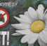 21 больного туберкулезом в Кызыле принудили лечиться через суд - ИА Тува-Онлайн