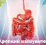 Крепкий иммунитет начинается со здорового кишечника - РЦМП