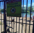 В Кызыле тонувшего в Енисее мужчину оштрафовали сразу после спасения - FlashSiberia