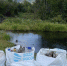 В Туране в рамках проекта «Вода России» волонтеры собрали с берегов водоемов более 500 мешков мусора - ИА Тува-Онлайн