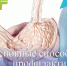 Основные способы профилактики рака желудка - РЦМП