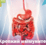 Крепкий иммунитет начинается со здорового кишечника - РЦМП
