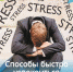 Способы быстро успокоиться во время стресса - РЦМП