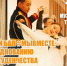 25 января состоится благотворительный Ректорский бал #МЫVМЕСТЕ, который приурочен к празднованию Дня Российского студенчества - ТувГУ