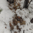 IMG-a8b9eef2e72312ab1b4775be7793d0a1-V - ОМВД Республики Тыва