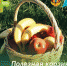 Собираем полезную корзину для пикника: Фрукты и овощи - РЦМП