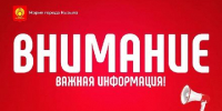 В КЫЗЫЛЕ ВВЕЛИ РЕЖИМ ЭКСТРАОРДИНАРНОЙ СИТУАЦИИ В ОБЛАСТИ ОБРАЩЕНИЯ С БЕЗНАДЗОРНЫМИ СОБАКАМИ - Администрация г. Кызыл