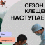 Как защитить себя в сезон клещей? - Респсихбольница