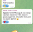 Отзывы родителей о летней школе ТувГУ - ТувГУ