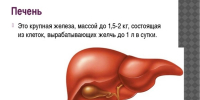 Неделя профилактики заболеваний печени - Респсихбольница