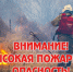 По данным Региональной диспетчерской службы, на утро 28 августа на территории республики действует 2 лесных пожара на площади 38 га - Министерство финансов