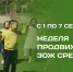 Здоровье наших детей — это основа счастливого будущего и главная ценность для родителей - РЦМП