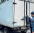 В Туве судебные приставы выселили из квартиры более 20 собак - УФССП
