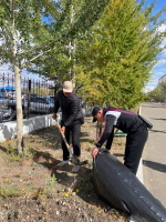 ТувГУ принял участие во Всероссийском экологическом субботнике «Зеленая Россия»