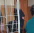 В Туве спустя 25 лет раскрыто изнасилование и убийство двух девушек в Балгазыне - ИА Тува-Онлайн