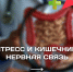 Стресс и кишечник: Нервная связь - РЦМП