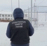 В Туве проверяют обстоятельства нападения собаки на семилетнего ребенка - ИА Тува-Онлайн