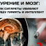 Курение и мозг: как сигареты убивают вашу память и интеллект - РЦМП