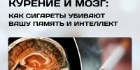 Курение и мозг: как сигареты убивают вашу память и интеллект - РЦМП