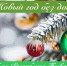 Не омрачайте Новый год долгами! Проверьте свои обязательства сегодня! - УФССП