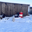 photo_2025-12-17_15-41-18 - ОМВД Республики Тыва