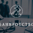 Долговому центру Омской области добавлена категория налогоплательщиков для инициирования процедур банкротства - УФНС