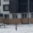 «В одних колготочках по снегу в -35»: сбежавшую из дома 3-летнюю малышку в Туве спас прохожий - ИА Тува-Онлайн