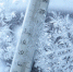img - ЛДПР