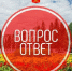 ВОПРОС -ОТВЕТ. КУДА ДЕВАТЬ СНЕГ ИЗ ТЕРРИТОРИИ ЧАСТНОГО И МНОГОКВАРТИРНОГО ДОМОВ? - Администрация г. Кызыл