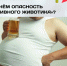 В чём опасность «пивного животика»? - РЦМП