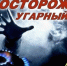 Росгвардия разъясняет: угарный газ и чем он опасен - Росгвардия